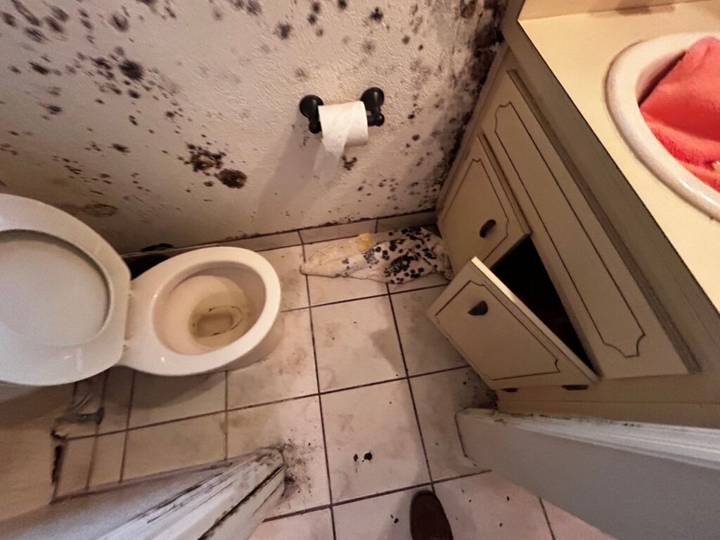 Bathroom with mold on walls and floor.