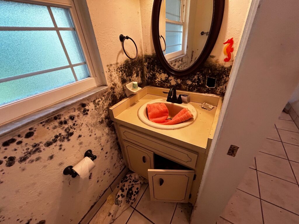 Bathroom with moldy walls and sink area